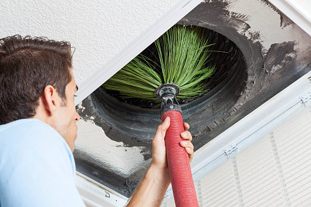 Best Professional Duct Cleaning Services  in St Ignace, MI
